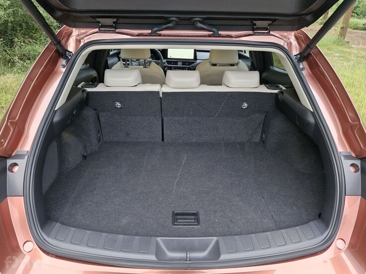 Lexus UX 300h AWD Luxury (2024)