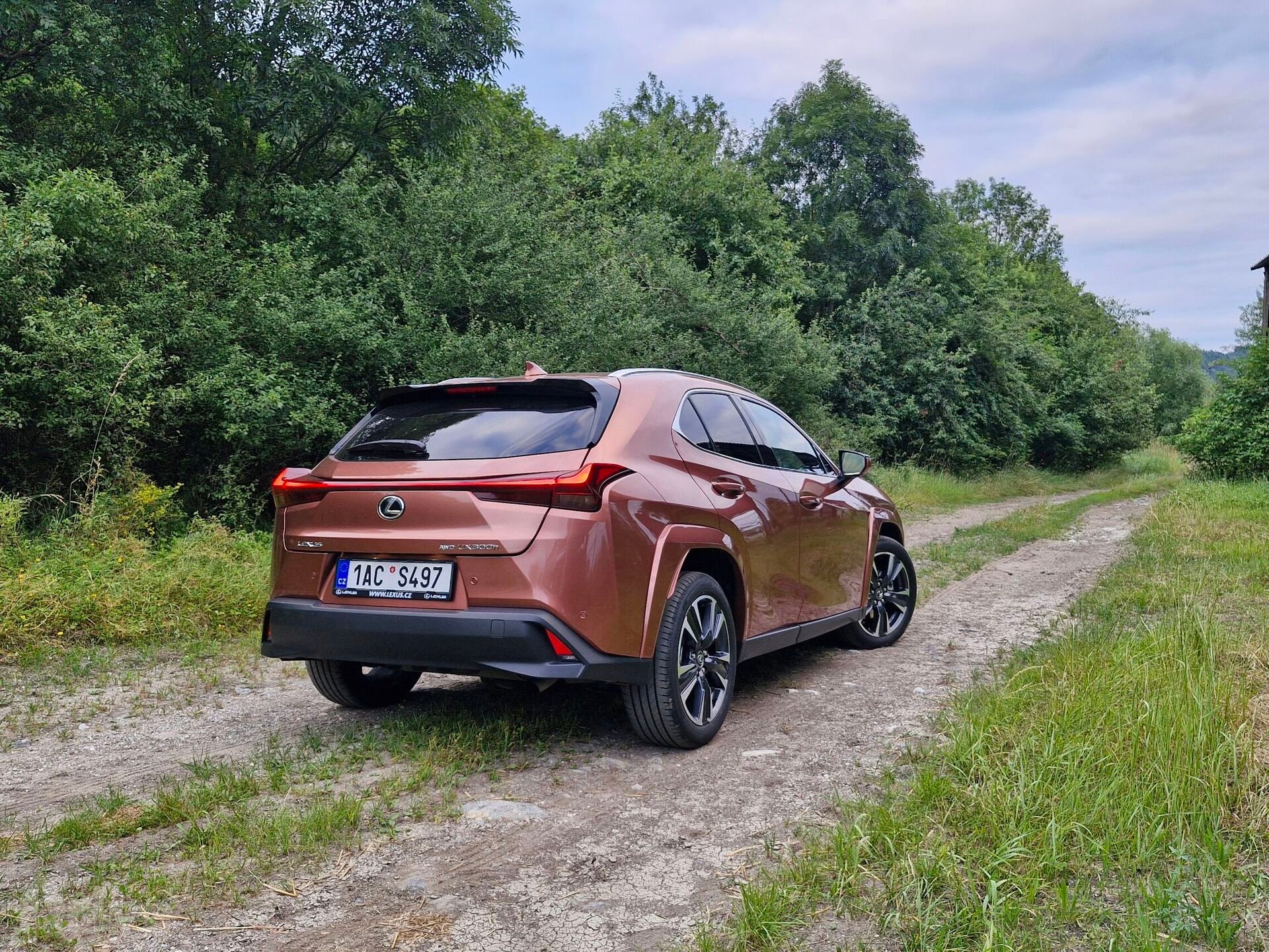 Lexus UX 300h AWD Luxury (2024)