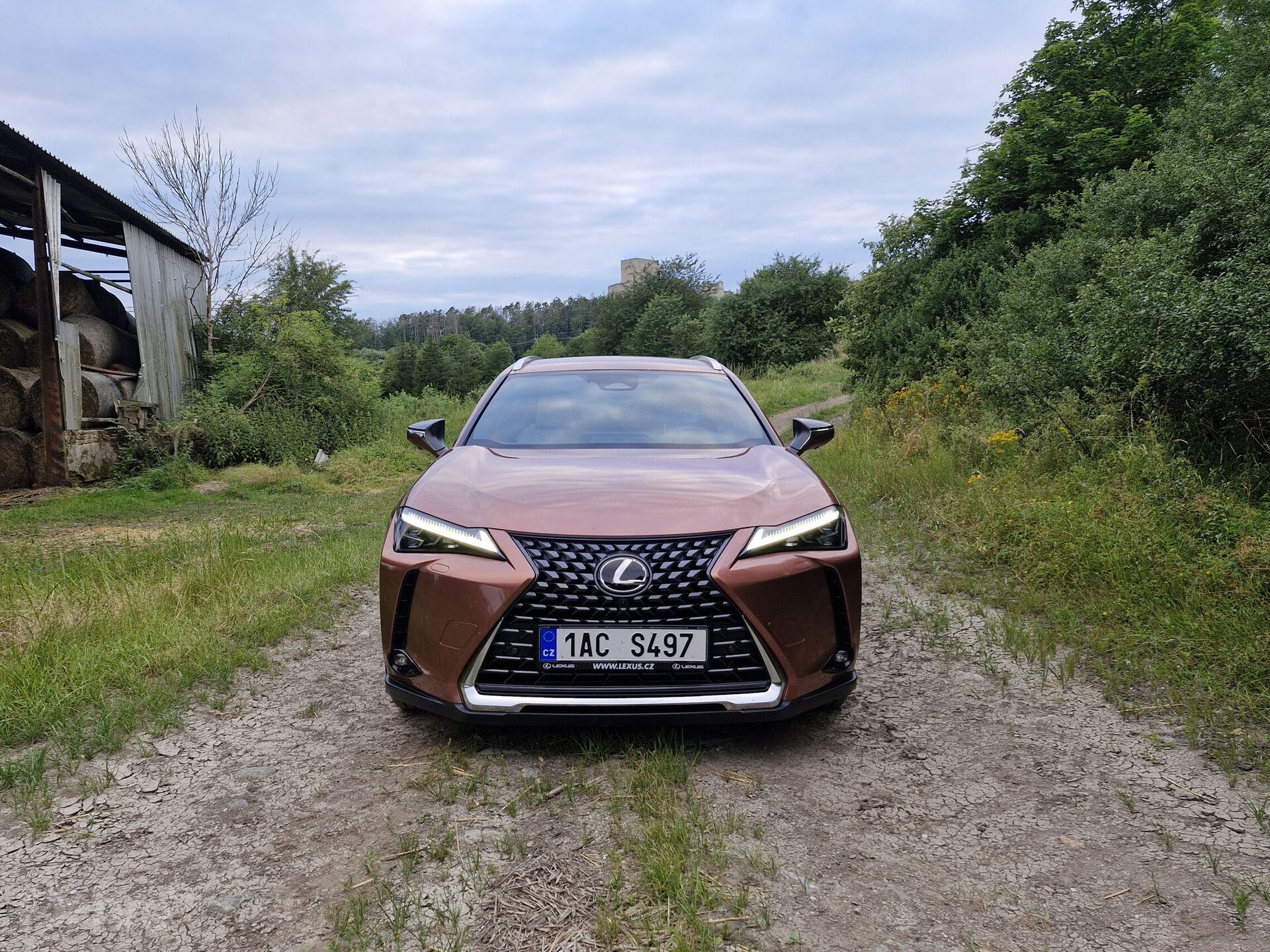 Lexus UX 300h AWD Luxury (2024)