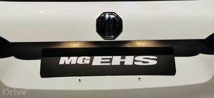 MG EHS