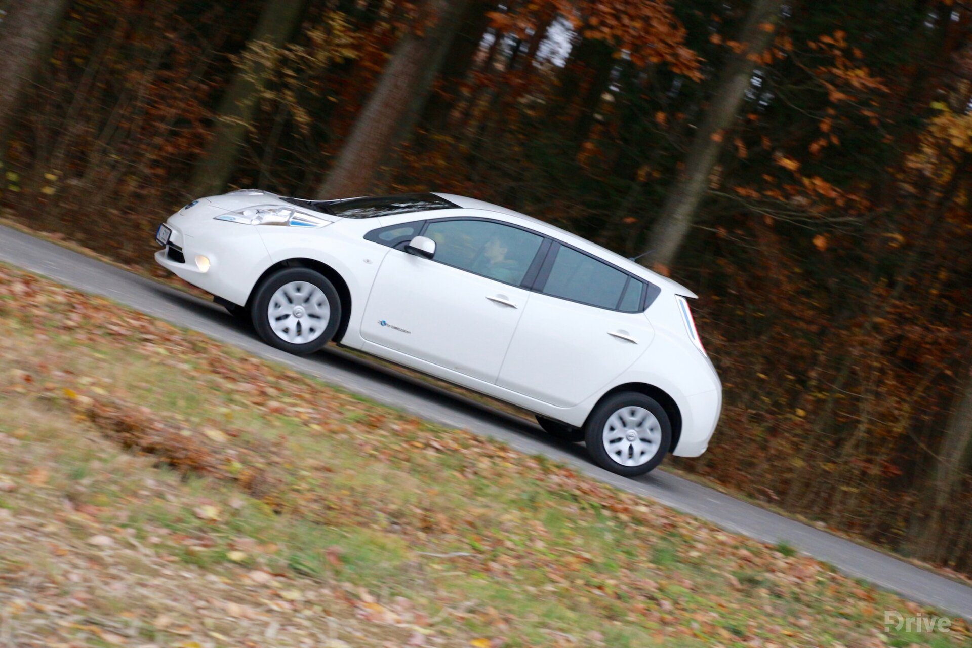 Nissan Leaf (2014)