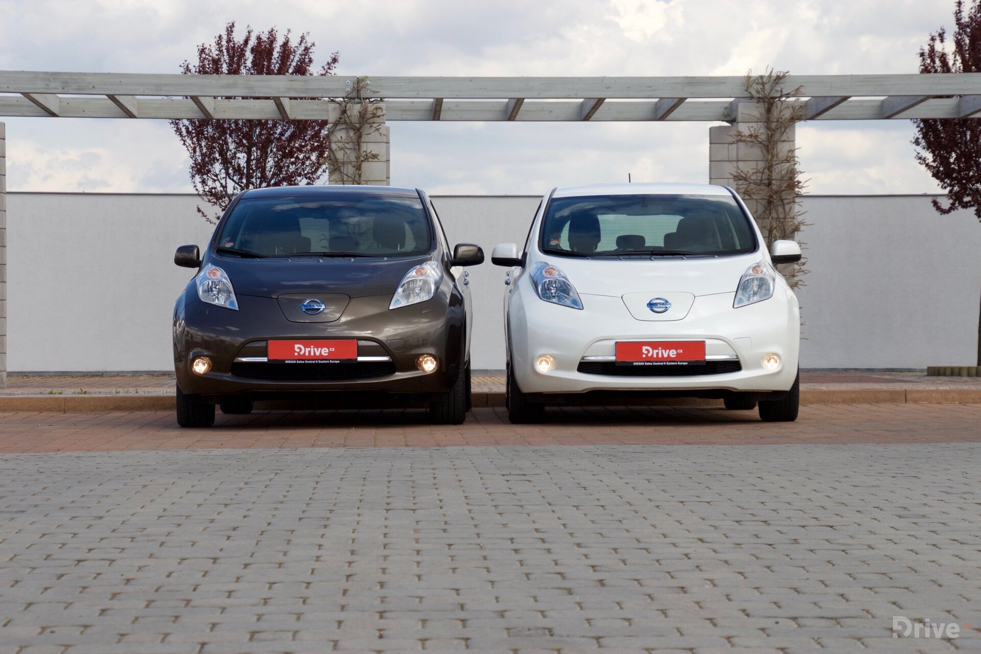Nissan Leaf 30 kWh vs Leaf 24 kWh
