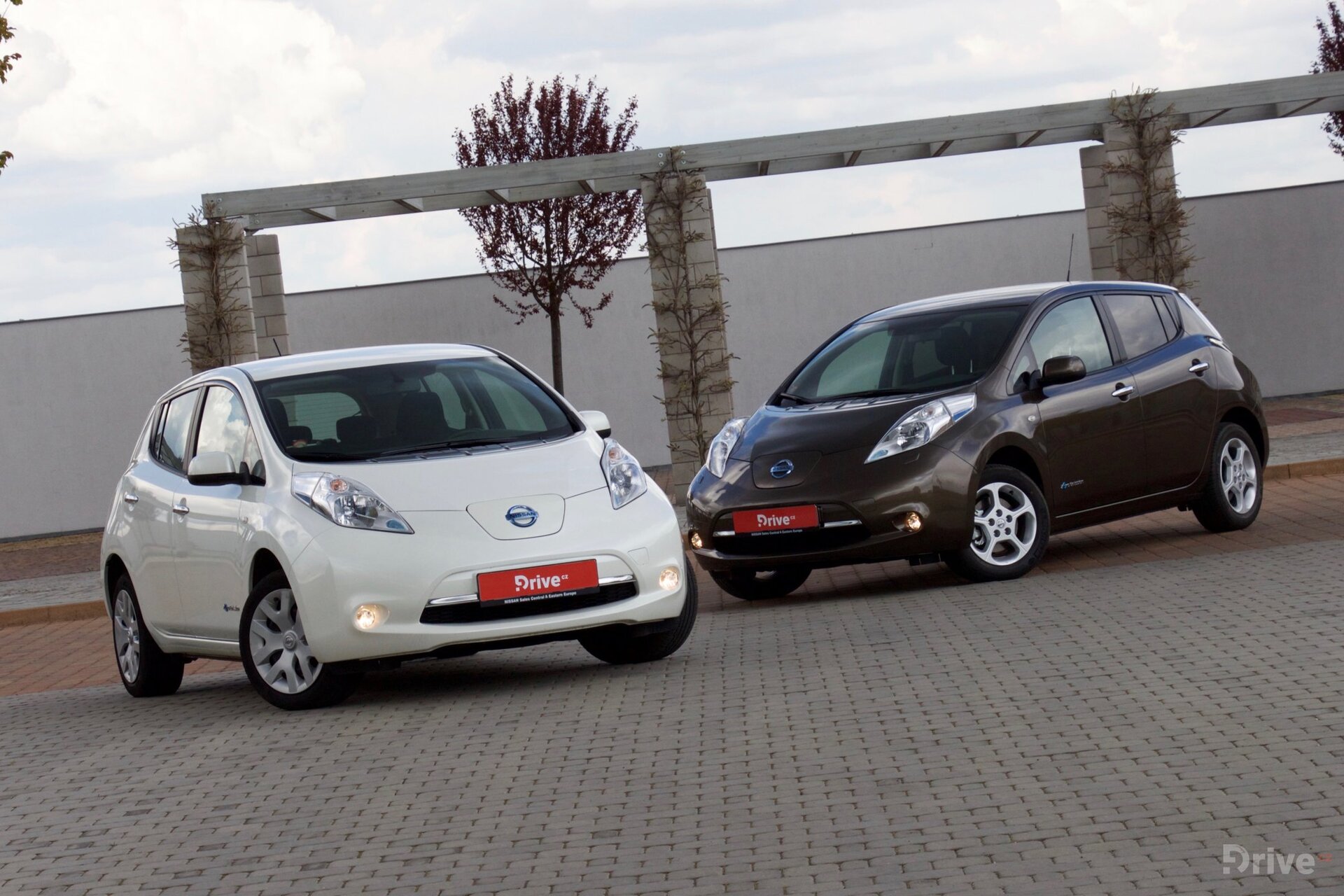 Nissan Leaf 30 kWh vs Leaf 24 kWh
