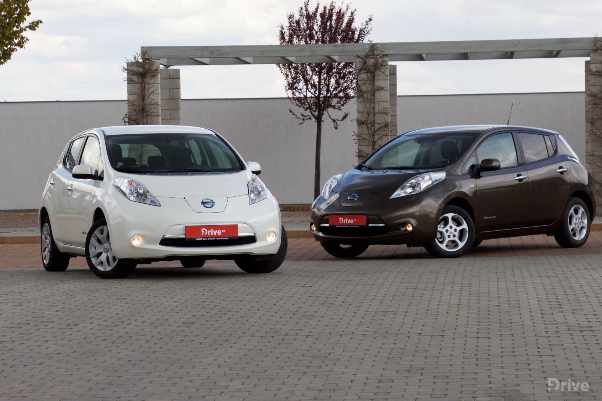 Nissan Leaf 30 kWh vs Leaf 24 kWh