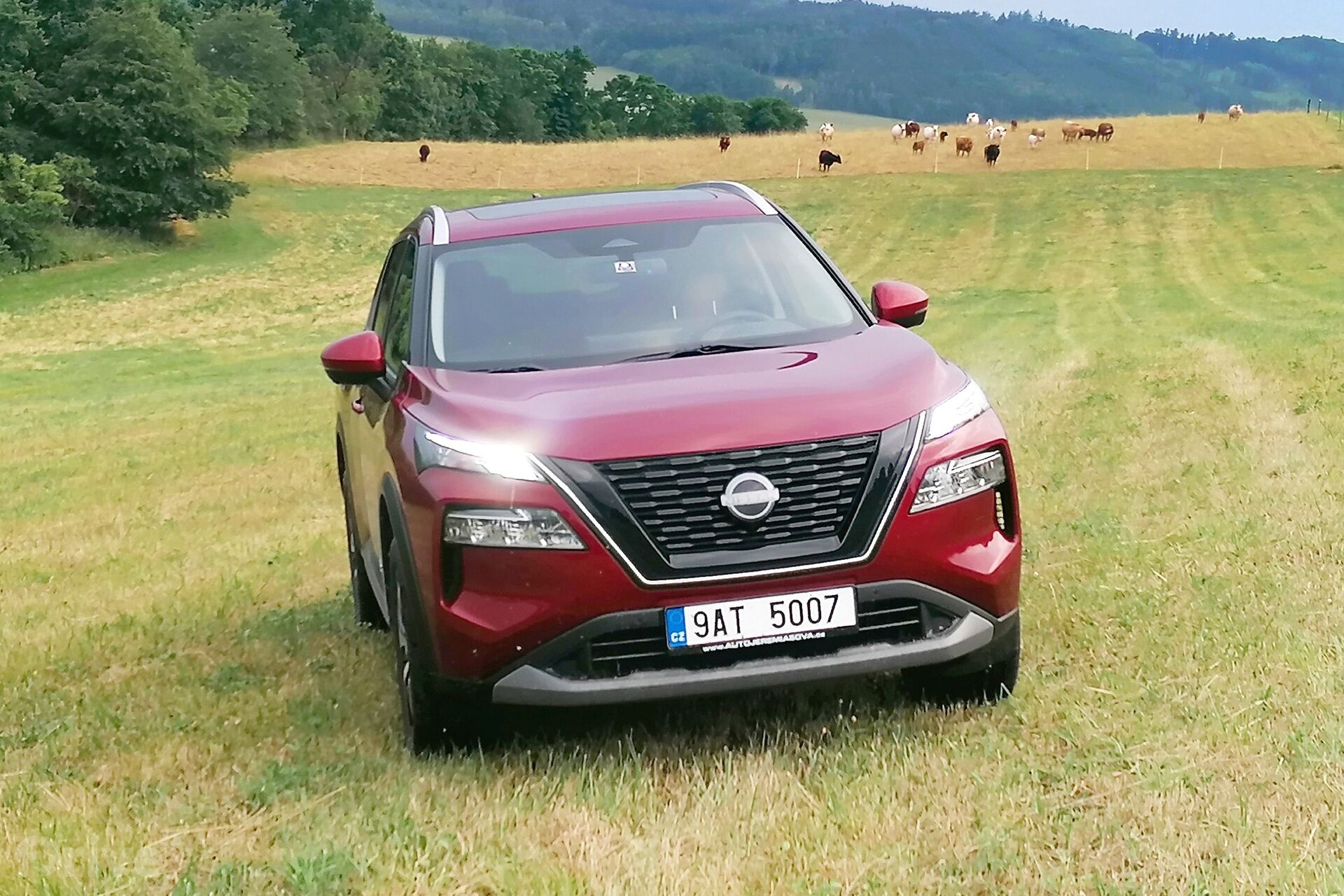 Nissan Nissan X-Trail (2022)
