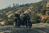 Nove Zero DSR/X Black Forest