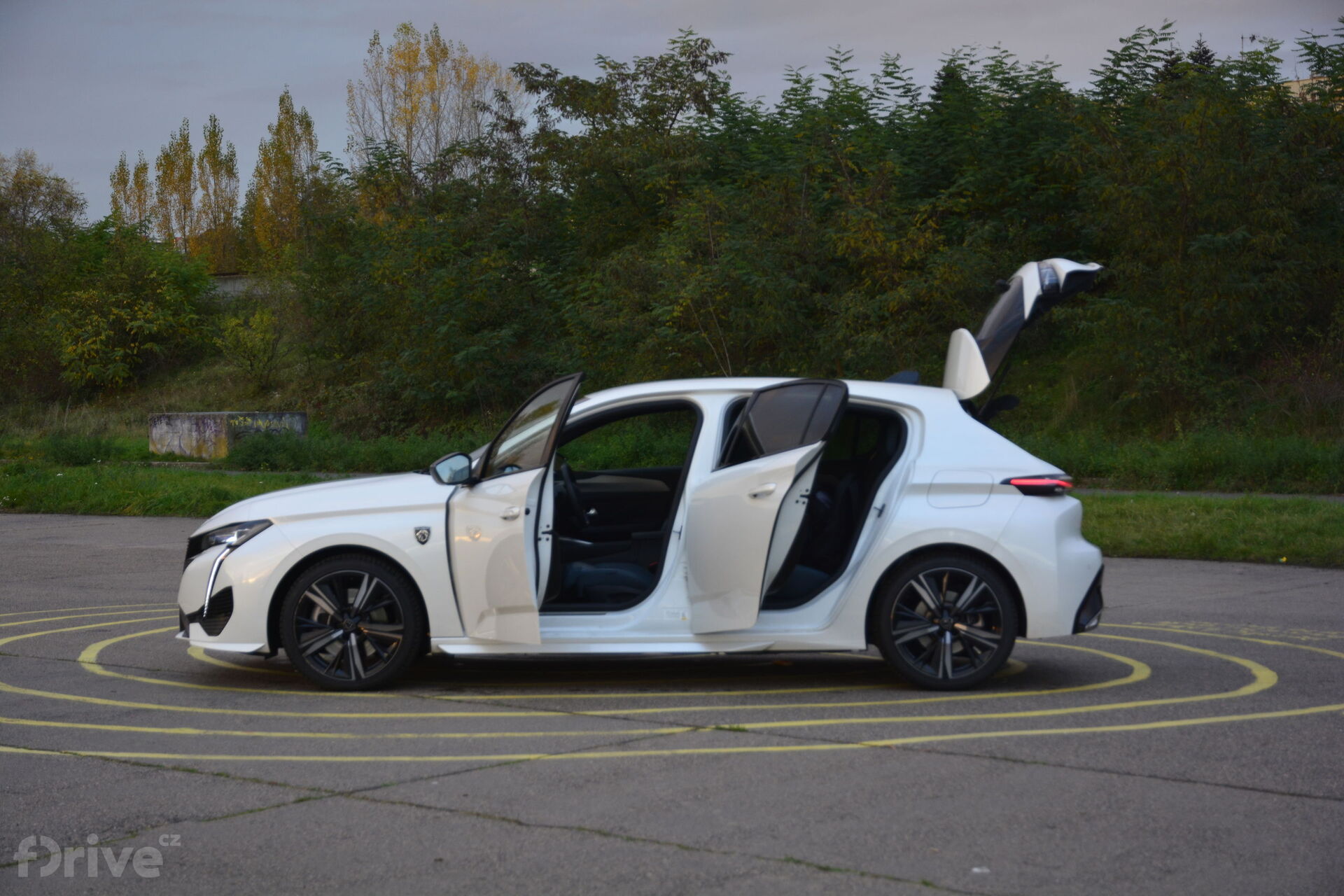 Peugeot 308 Hybrid 225