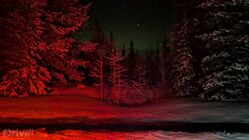 Poprvé bylo možné polární záři zachytit jen na fotografii