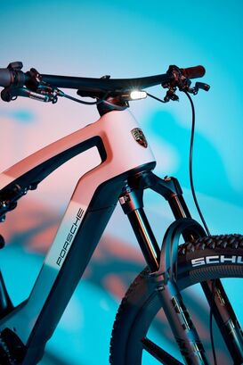 Porsche eBike Sport