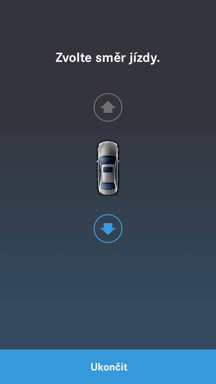 Remote Parking Pilot