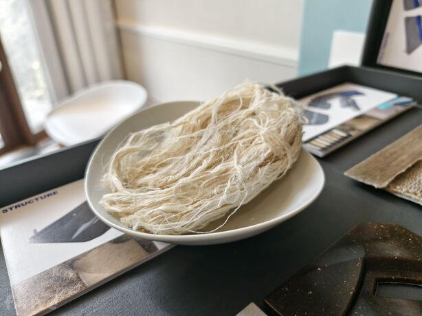 Renault Embleme (koncept)