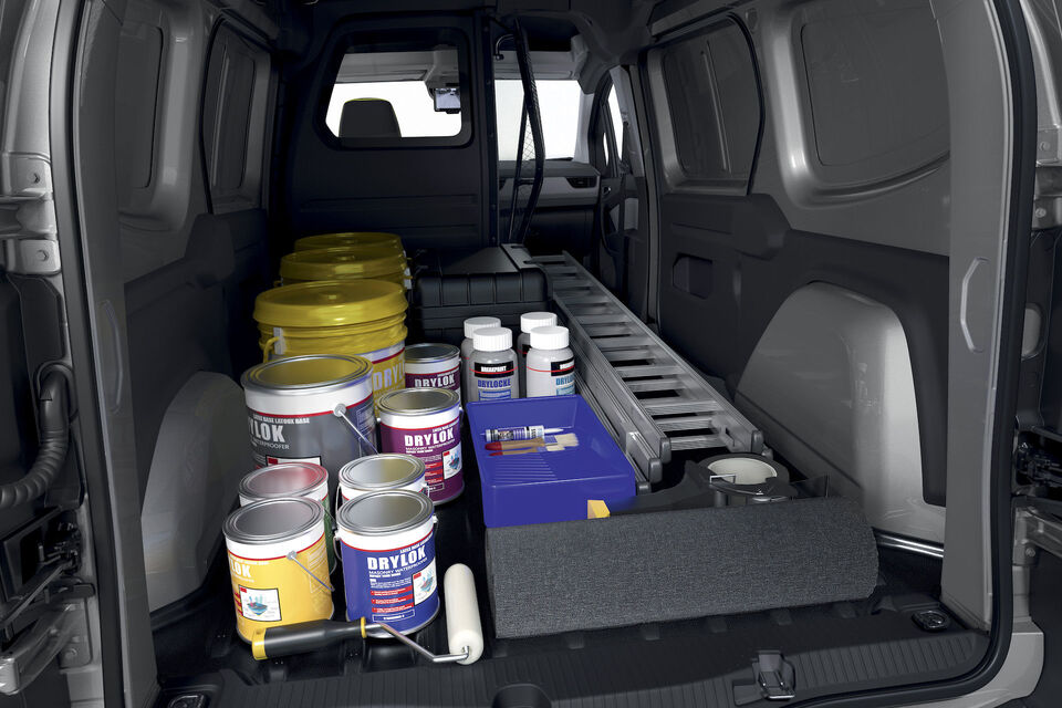 Renault Kangoo Van (2021)