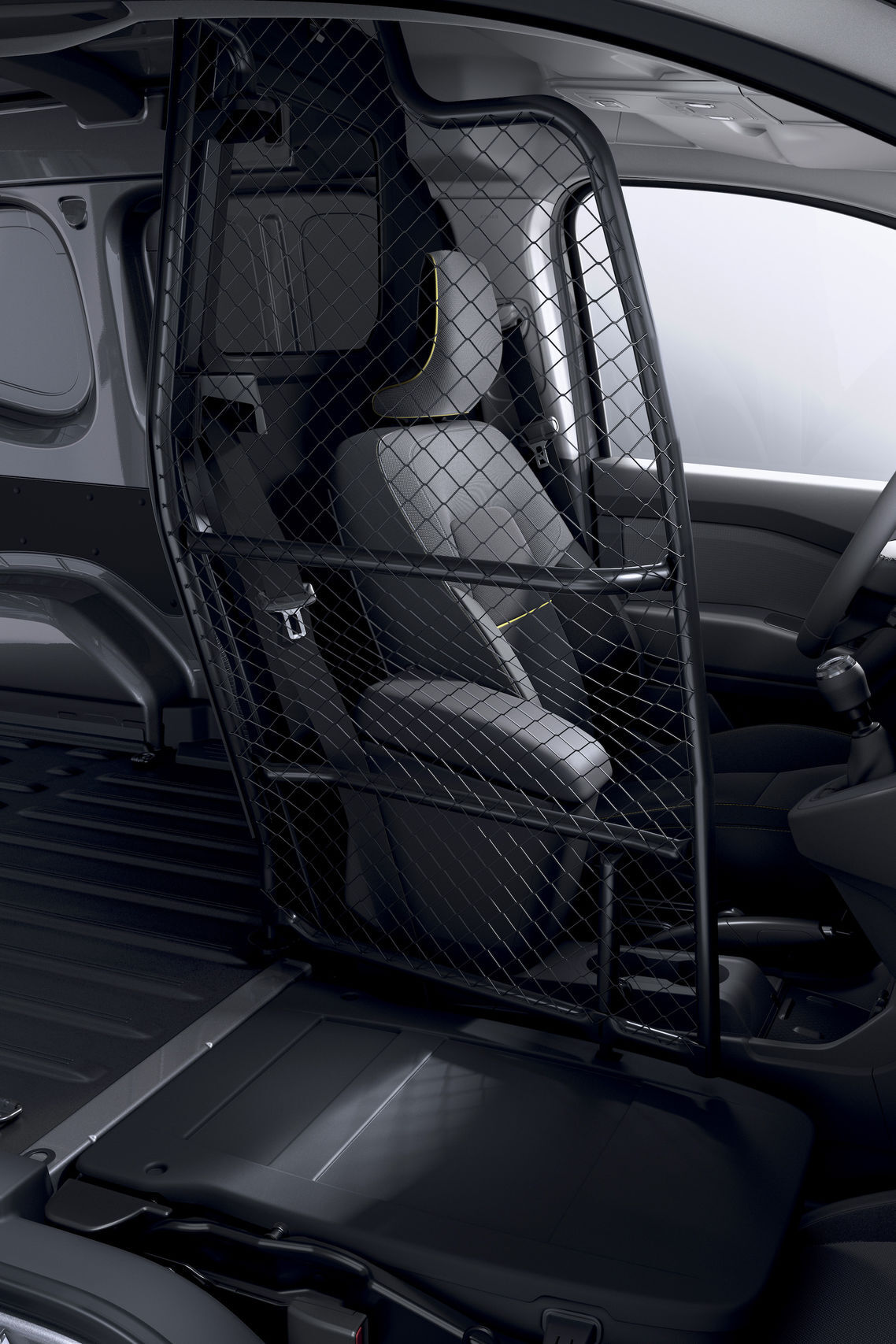 Renault Kangoo Van (2021)