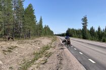 Sobi ve švédském Laponsku