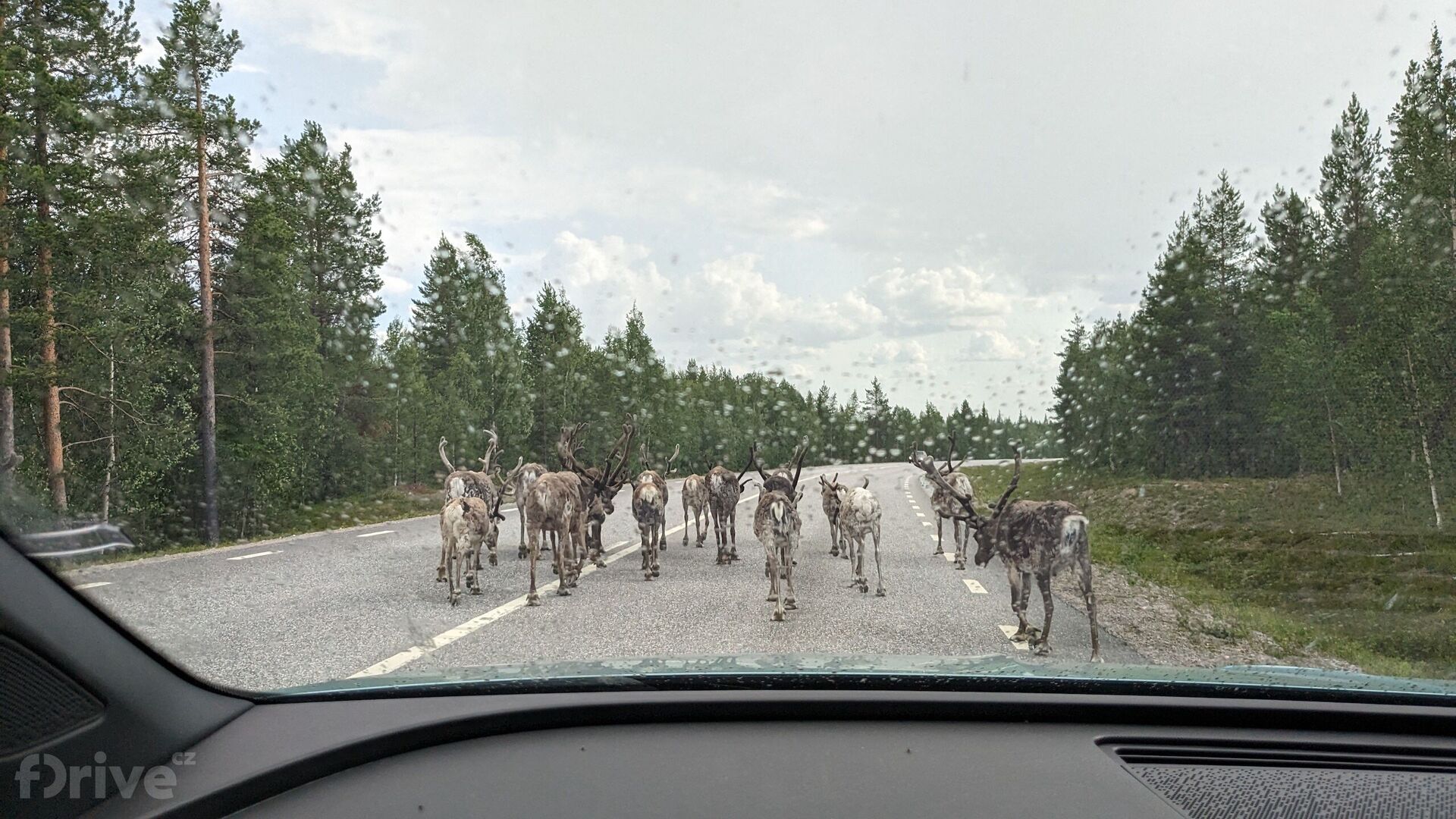 Sobi ve švédském Laponsku