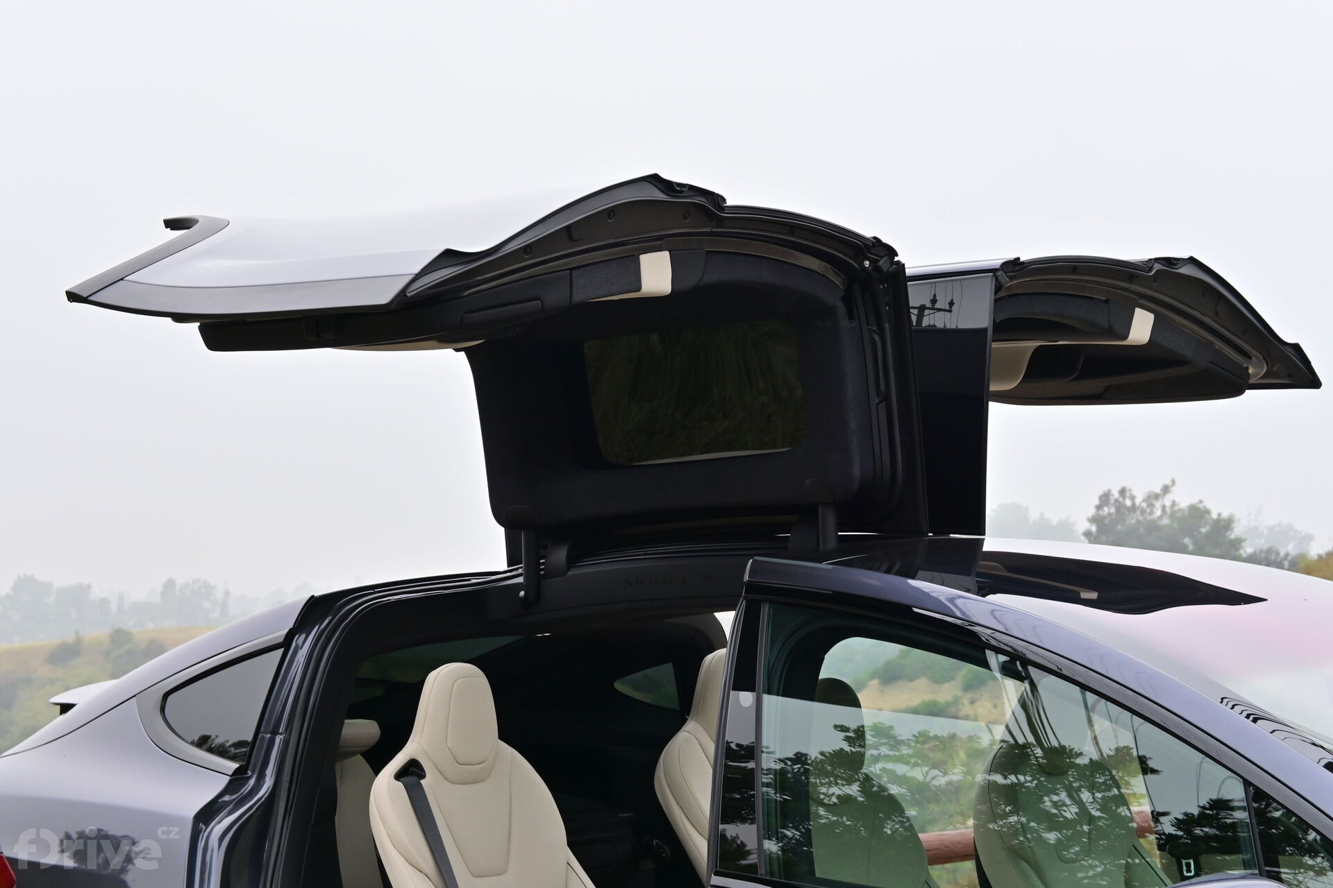 Tesla Model X (2021)