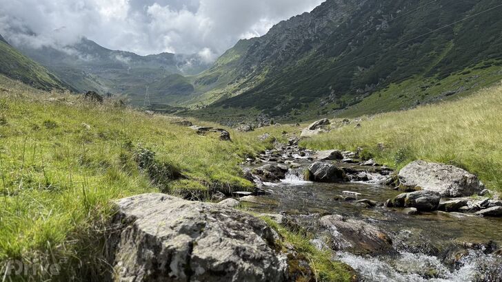 Transfăgărășan