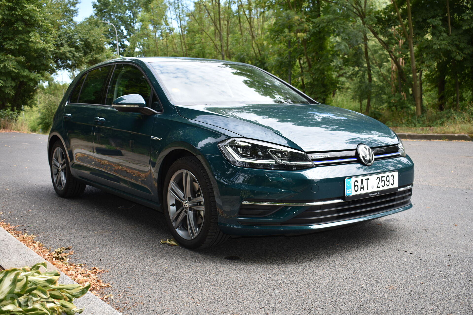 Volkswagen Golf 1,5 TSI Bluemotion (2018)