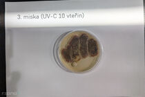 3. miska (UV-C, 10 vteřin)