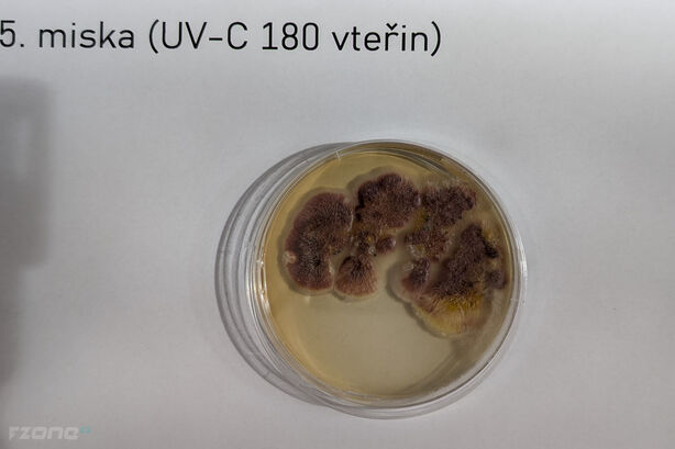 5. miska (UV-C, 180 vteřin)