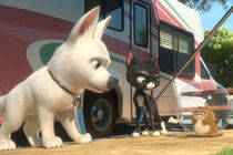 Bolt – pes pro každý případ (Bolt)