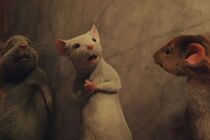 Čarodějnice (The Witches)