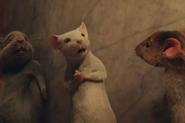 Čarodějnice (The Witches)