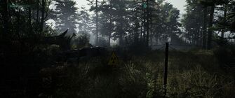Chernobylite