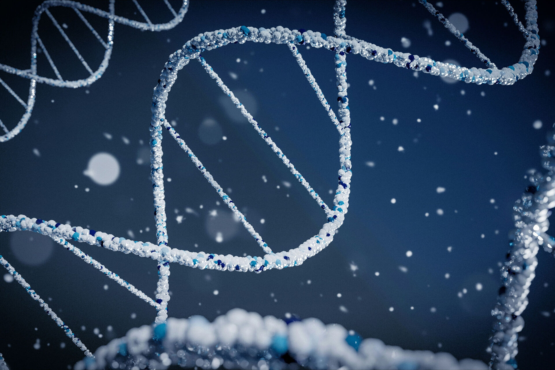 DNA