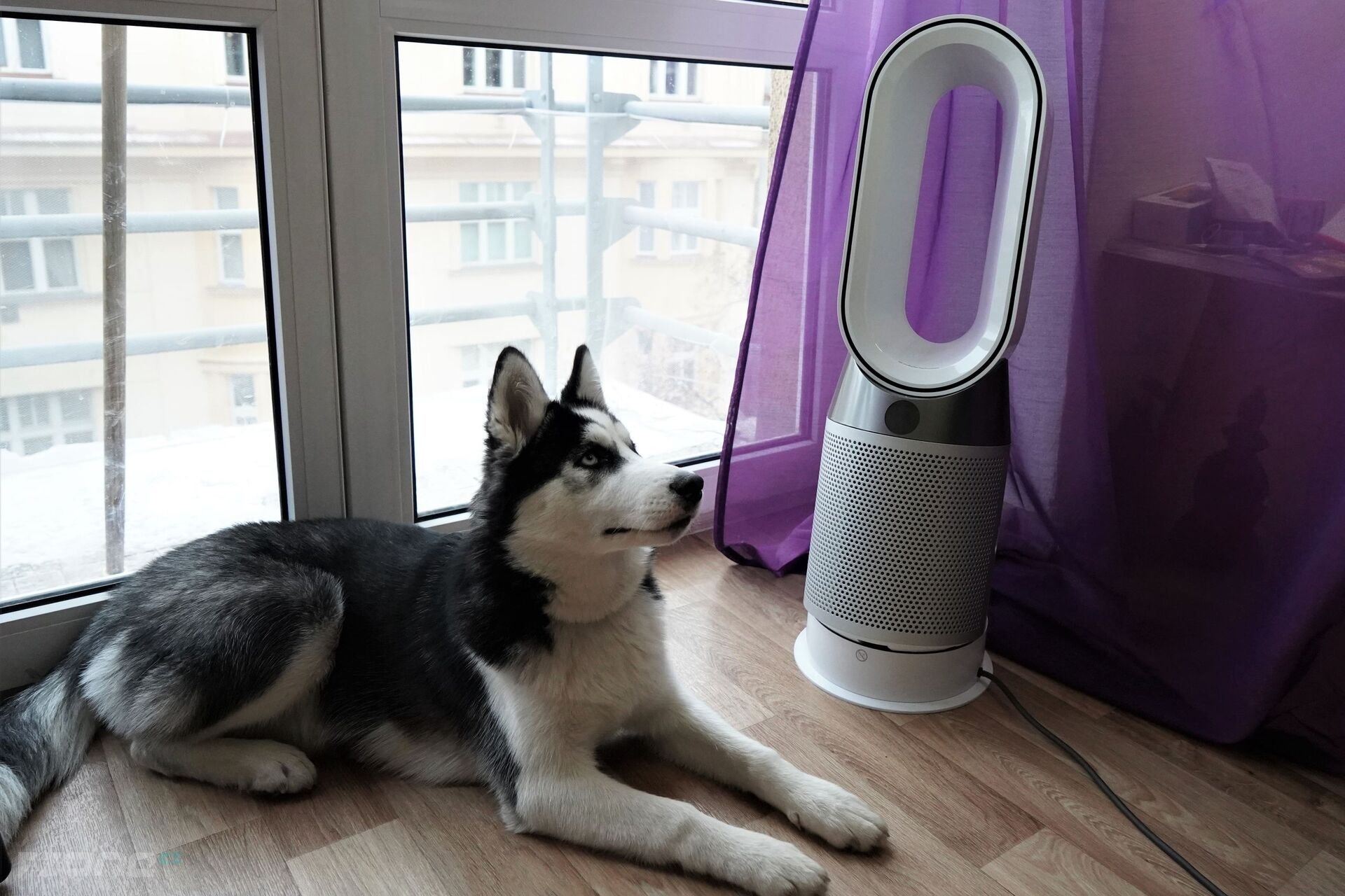 Dyson Pure Hot+Cool