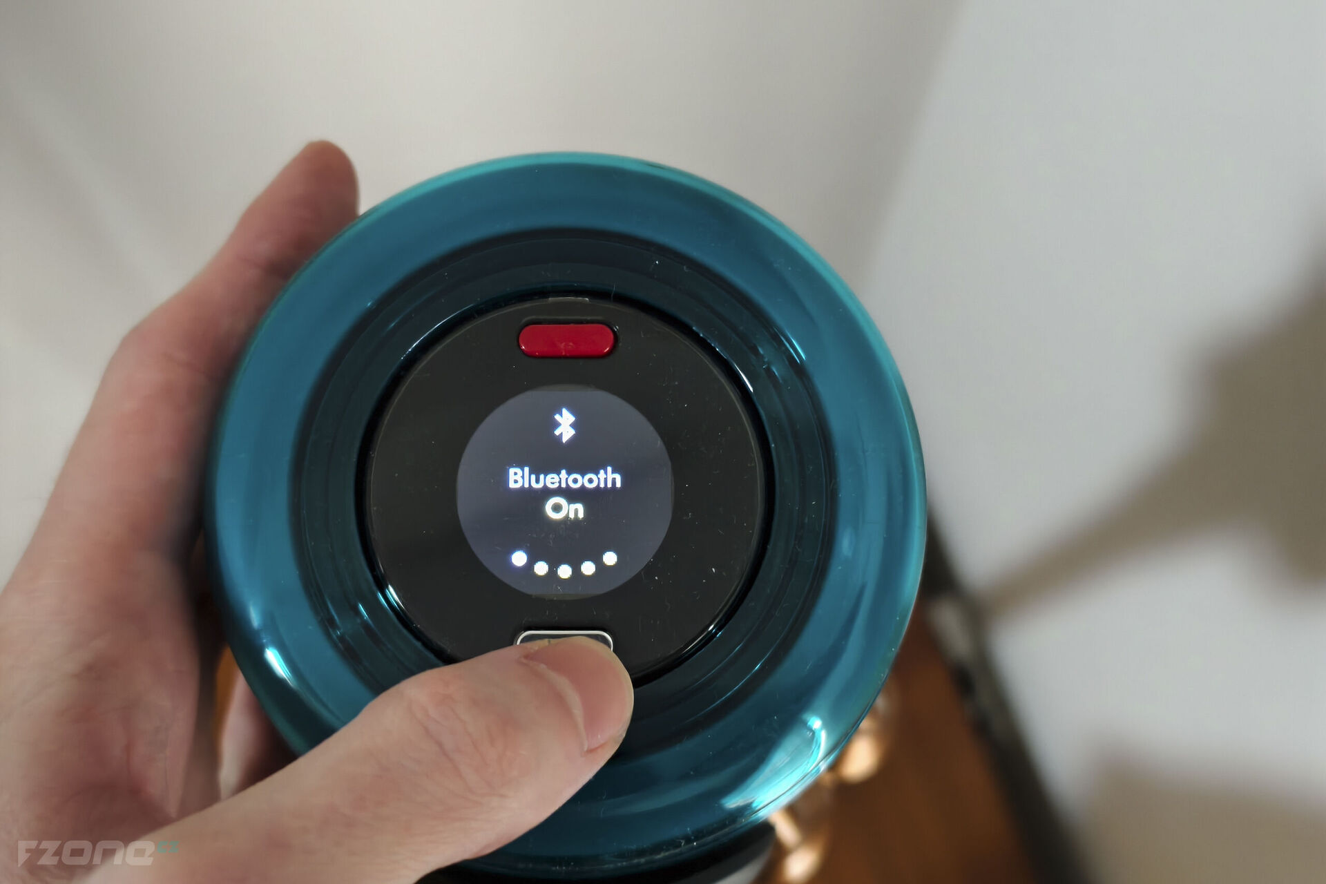 Dyson V16 Piston Animal