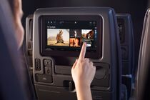 Economy class v singapurských aerolinkách