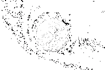 FlexiArm Arc Side Brush