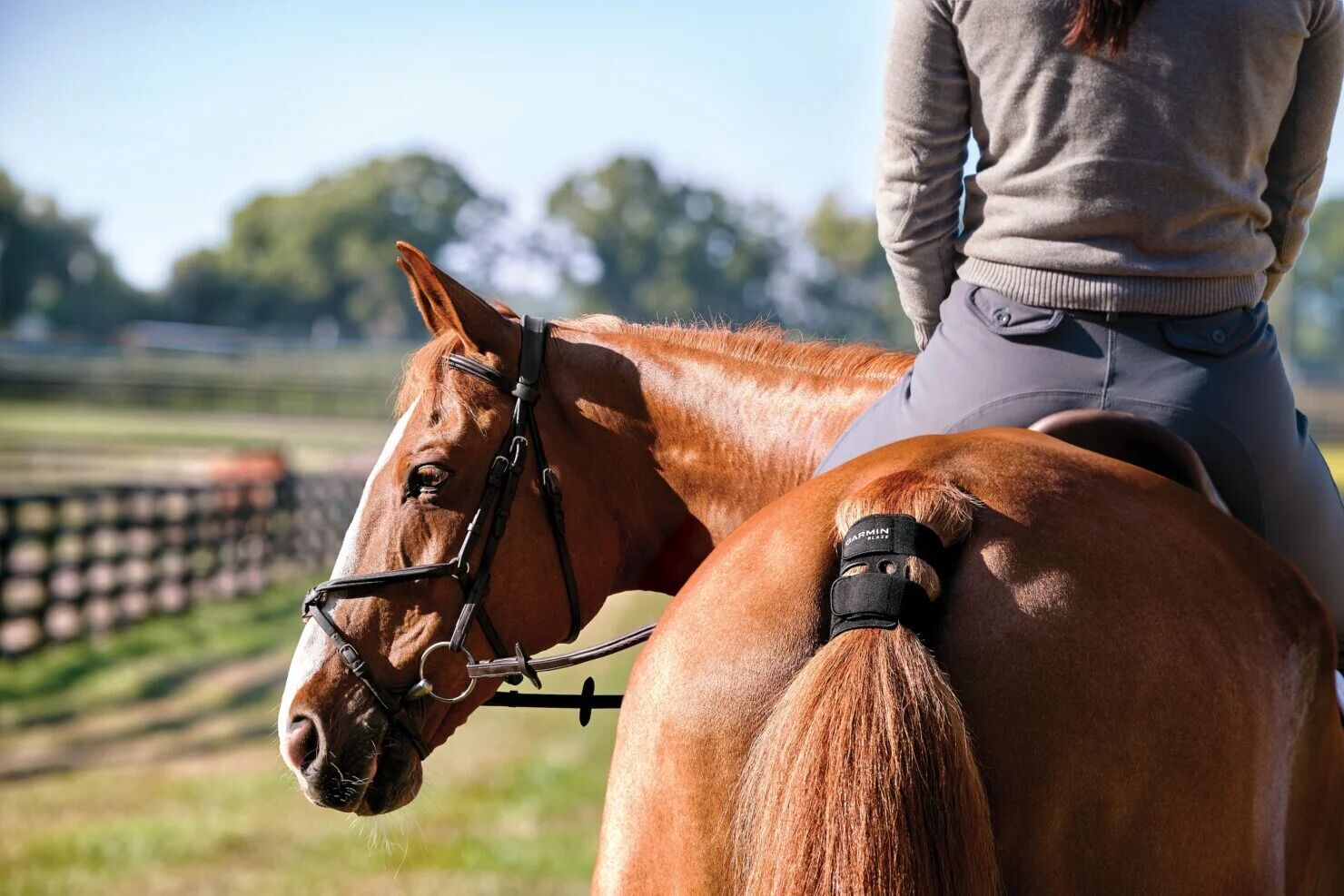 Garmin Blaze