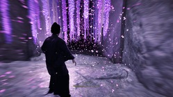 Ghost of Tsushima Director\'s Cut