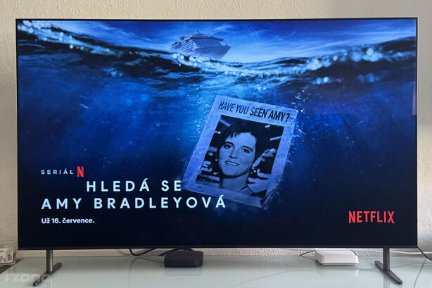 Hledá se Amy Bradleyová