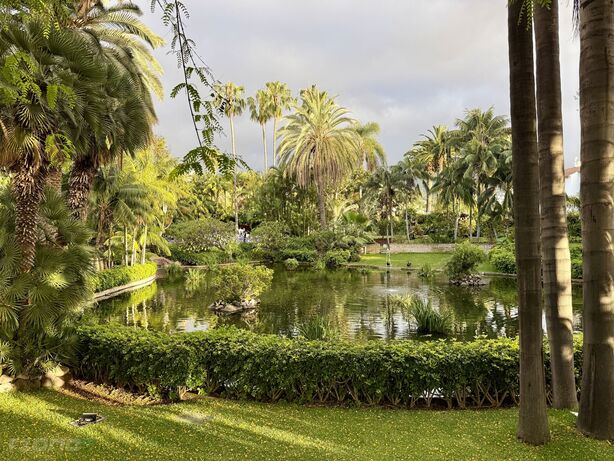 Hotel Botanico, Tenerife