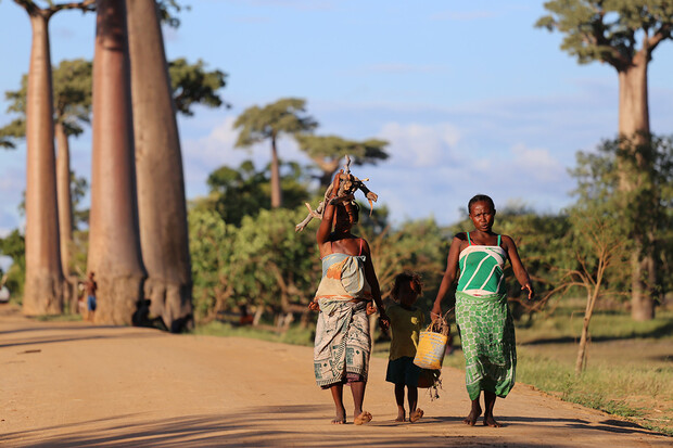 Klimatické změny dohnaly Madagaskar na pokraj hladomoru