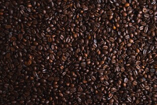 Nejenom maso, ale i kávu lze vyrobit v laboratoři. Pomůže to ekologii