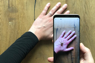 Rozšířená realita pomáhá lidem zbavit se strachu z pavouků 