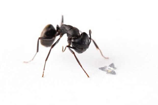 Vědci vytvořili nejmenší létající mikročipy na světě