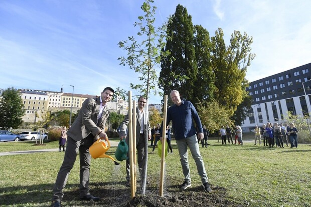 Škoda Auto vysadila miliontý strom v rámci programu Škoda Stromky