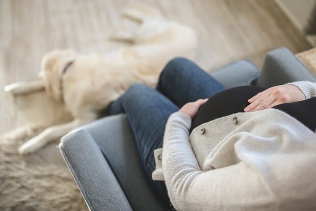 Nové diagnostické řešení z ČR pomáhá předvídat těhotenské komplikace podle krve