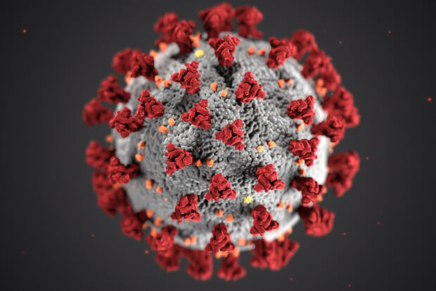 Nová zmutovaná varianta koronaviru je už i v Česku