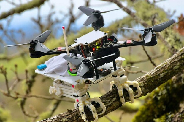 Dron ze Stanfordu má pařáty jako skutečný pták 