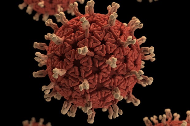 V Ghaně se šíří smrtící virus marburg. Neexistuje na něj žádný lék