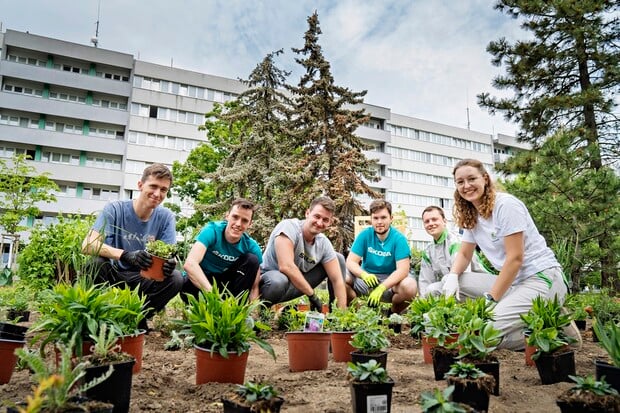 Škoda Auto představuje vybrané projekty zaměřené na zachování biodiverzity