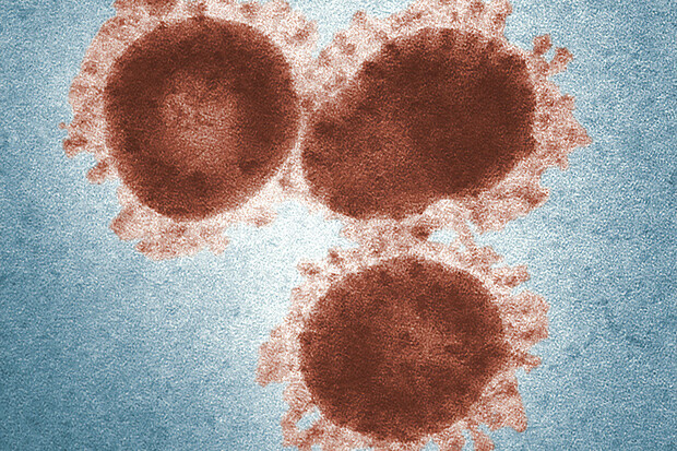 Světová zdravotnická organizace oficiálně přejmenovala opičí neštovice na mpox