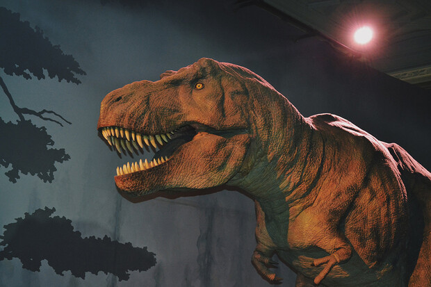 Ve vyschlé řece v Texasu byly objeveny dinosauří stopy staré 100 milionů let