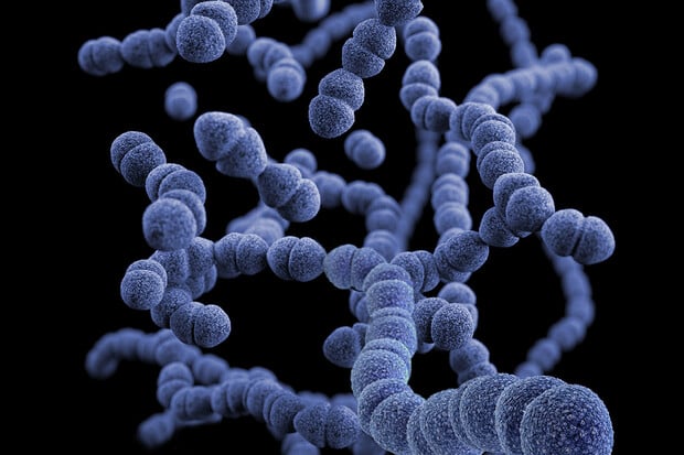Všechny bakterie jsou špatné. A jak je to tedy potom s probiotiky?